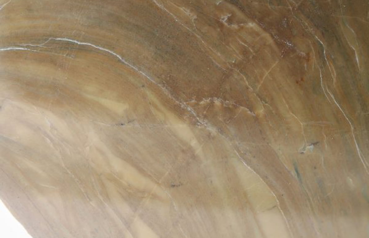 Detailed shot of large stromatolite