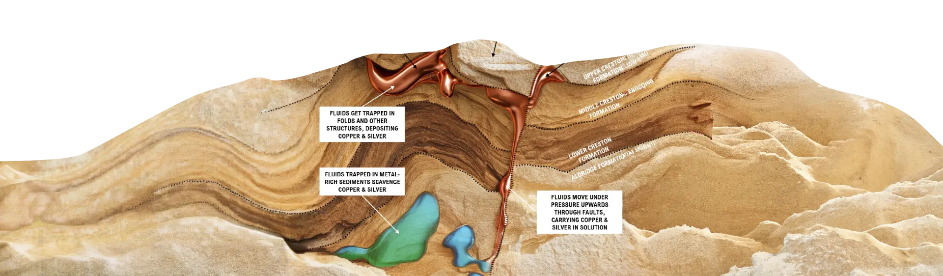 Illustrated cross-section of a Creston-Revett sed-hosted copper system, showing fluids moving up faults and being trapped in folds