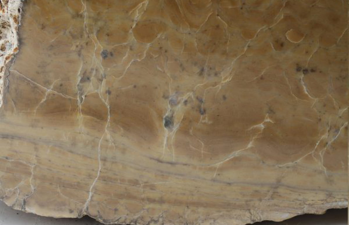 Detailed shot of smaller stromatolite colony
