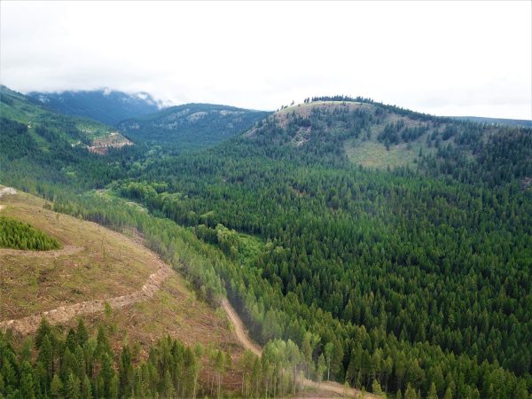 Technical reports for the Koocanusa Property