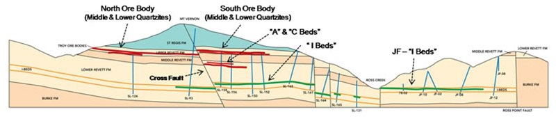 Generalized cross-section of the Troy Mine area
