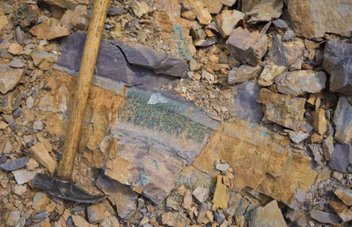 Sheppard Formation rocks above the Nicol Creek Basalt contact. Extensive chlorite formation along fracture surfaces. Buff siltstones and maroon mudstones.