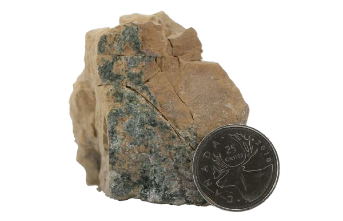 Buff siltstone, silicified with chlorite along fracture planes